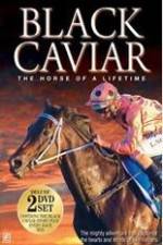 Watch Black Caviar The Races Gomovies