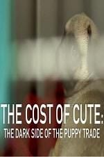 Watch The Cost of Cute: The Dark Side of the Puppy Trade Gomovies