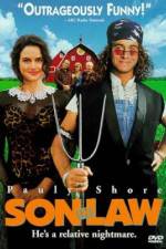 Watch Son in Law Gomovies