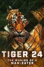 Watch Tiger 24 Gomovies