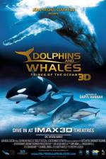 Watch Dolphins and Whales 3D Tribes of the Ocean Gomovies