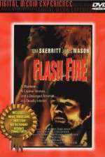 Watch A Dangerous Summer Gomovies