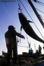 Watch National Geographic: Cheating Death Tuna Cowboys Gomovies