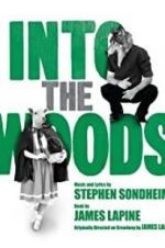 Watch Into the Woods Gomovies