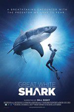 Watch Great White Shark Gomovies