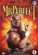 Watch The Life and Times of Mr. Perfect Gomovies