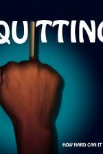 Watch Quitting Gomovies