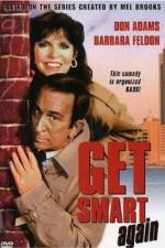 Watch Get Smart Again Gomovies