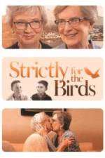 Watch Strictly for the Birds Gomovies