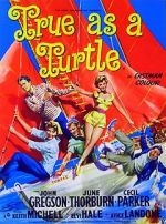 Watch True as a Turtle Gomovies