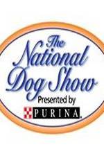 Watch National Dog Show Gomovies
