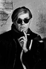 Watch A Day in the Life of Andy Warhol Gomovies