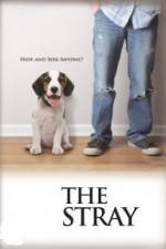 Watch The Stray Gomovies