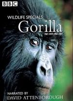 Watch Gorilla Revisited with David Attenborough Gomovies