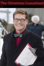 Watch The Christmas Consultant Gomovies