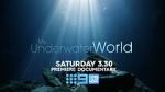 Watch My Underwater World (TV Special 2024) Gomovies