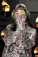 Watch The 63rd Annual Grammy Awards Gomovies