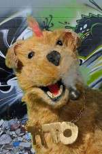 Watch Crack Dog Gomovies