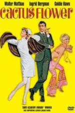 Watch Cactus Flower Gomovies