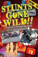 Watch Stunts Gone Wild: Crashes, Smashes & Road Rashes! Gomovies