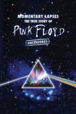 Watch Pink Floyd: Momentary Lapses - The True Story Of Pink Floyd Gomovies