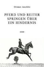 Watch Pferd und Reiter Springen �ber ein Hindernis Gomovies