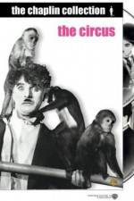 Watch The Circus Gomovies