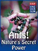 Watch Ants: Nature\'s Secret Power Gomovies