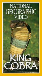 Watch King Cobra Gomovies