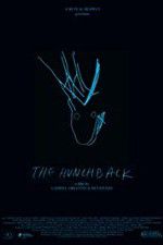 Watch The Hunchback Gomovies