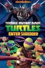 Watch Teenage Mutant Ninja Turtles: Enter Shredder Gomovies