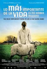 Watch The Most Important Thing in Life Is Not Being Dead Gomovies