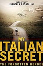 Watch My Italian Secret: The Forgotten Heroes Gomovies