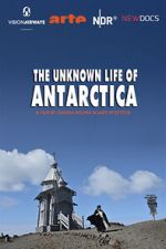Watch The Unknown Life of Antarctica Gomovies