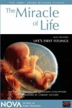 Watch The Miracle of Life Gomovies