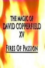 Watch The Magic of David Copperfield XV Fires of Passion Gomovies