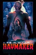 Watch Haymaker Gomovies