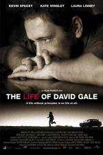 Watch The Life of David Gale Gomovies