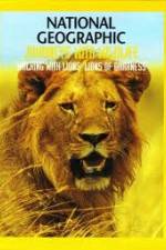 Watch National Geographic: Walking with Lions Gomovies