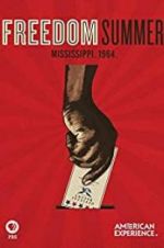 Watch Freedom Summer Gomovies