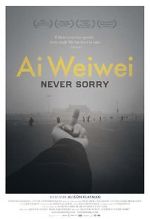 Watch Ai Weiwei: Never Sorry Gomovies