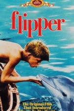 Watch Flipper Gomovies
