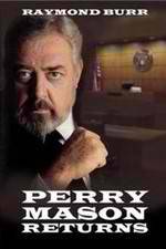 Watch Perry Mason Returns Gomovies