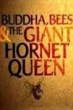 Watch Natural World Buddha Bees and the Giant Hornet Queen Gomovies