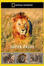 Watch National Geographic: Super Pride  Africa's Largest Lion Pride Gomovies