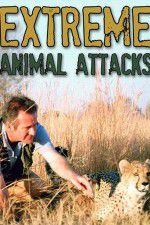 Watch Extreme Animal Attacks Gomovies