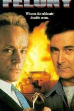Watch Felony Gomovies