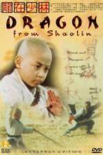 Watch Long zai Shaolin Gomovies