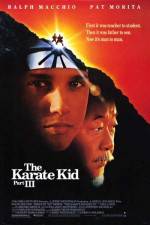 Watch The Karate Kid, Part III Gomovies