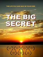 Watch The Big Secret Gomovies